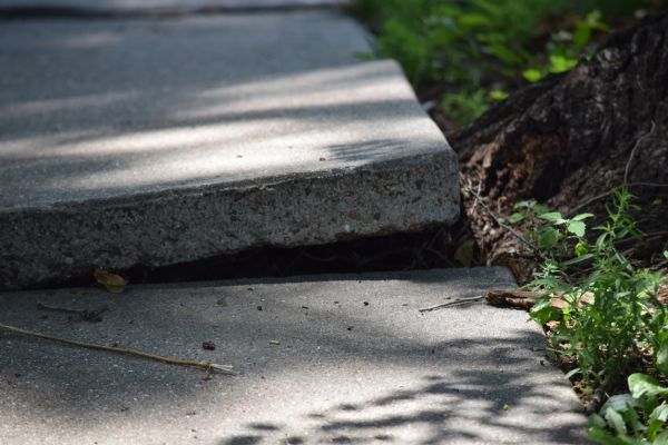 Sidewalk Leveling in Anoka